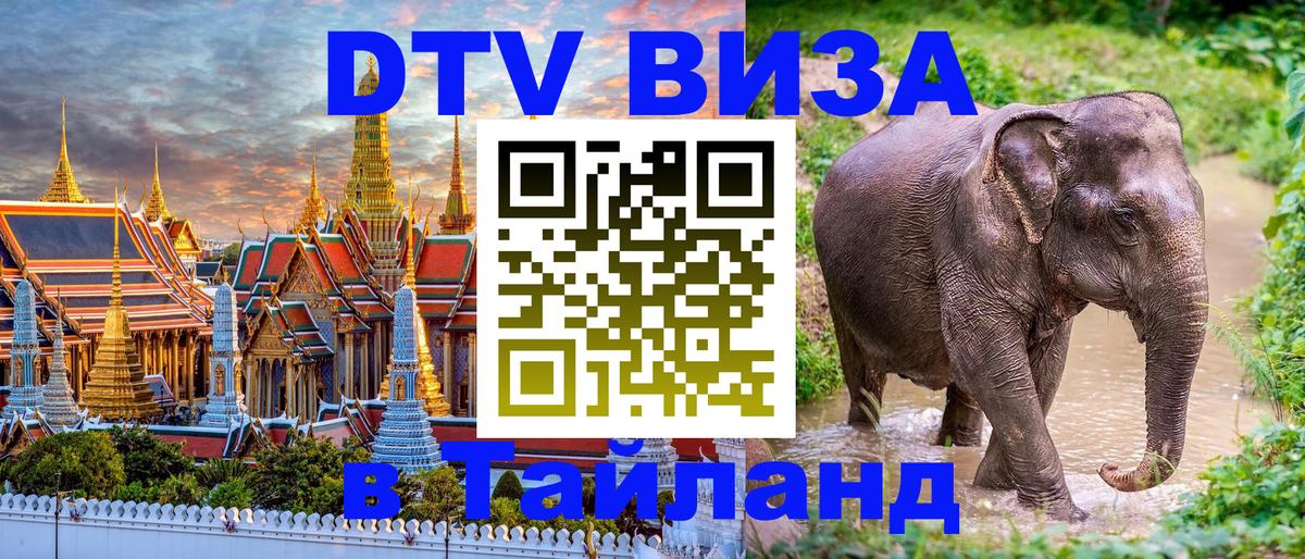 Сколько стоит DTV виза — актуальные цены, оформление даже без документов - 